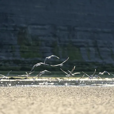 Le 39 * Isigny-sur-Mer
